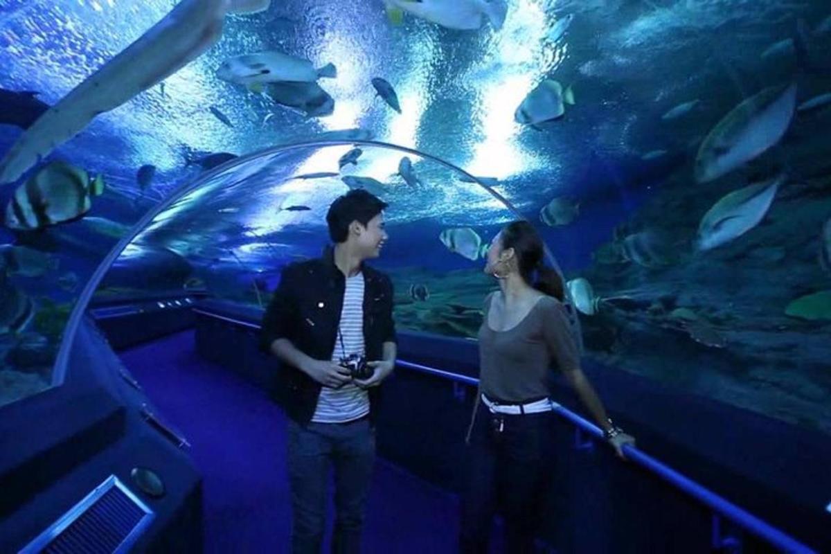 a man and a woman standing in front of an aquarium