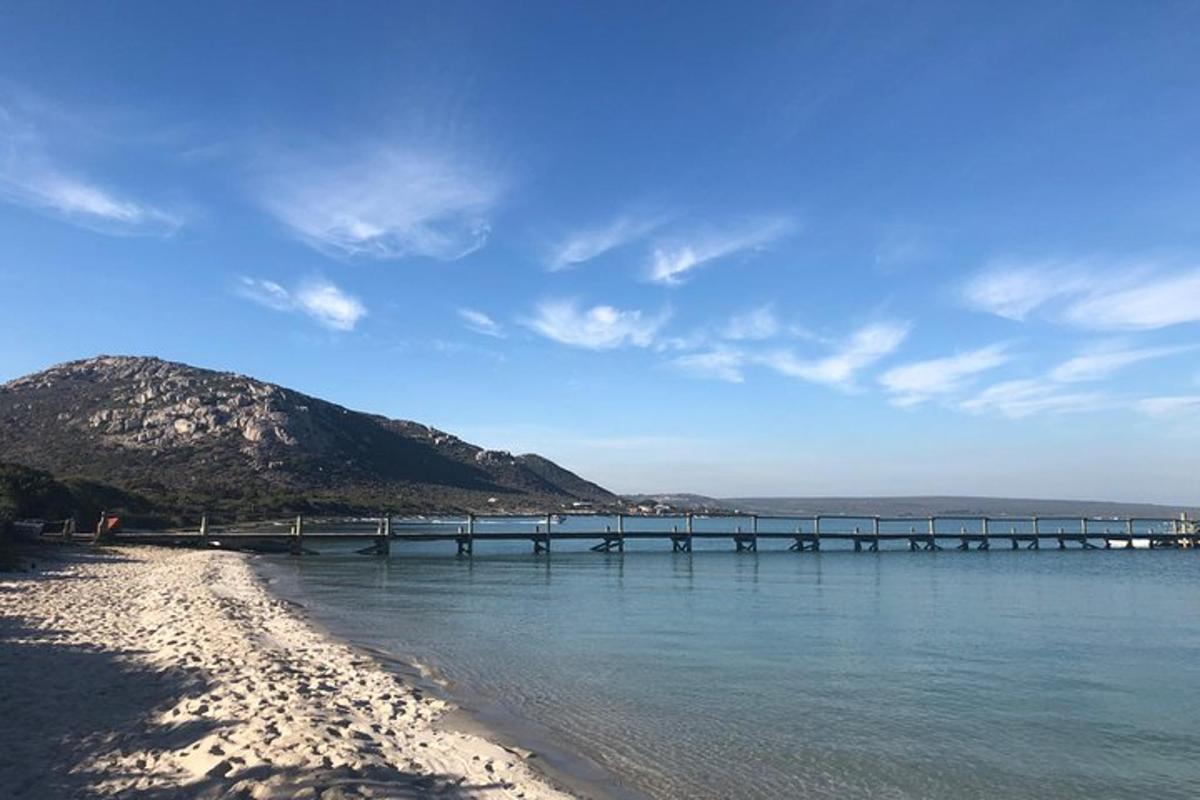 una spiaggia con un molo in acqua
