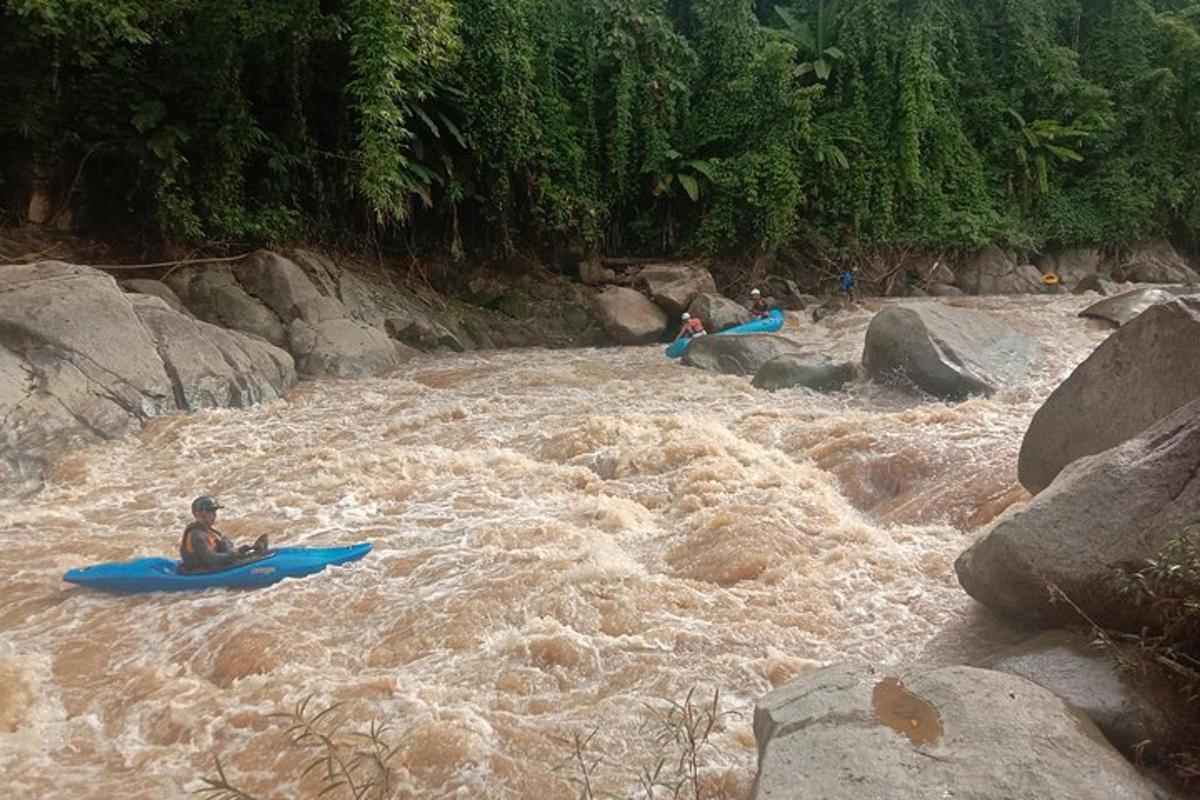 un grupo de personas en kayaks en un río