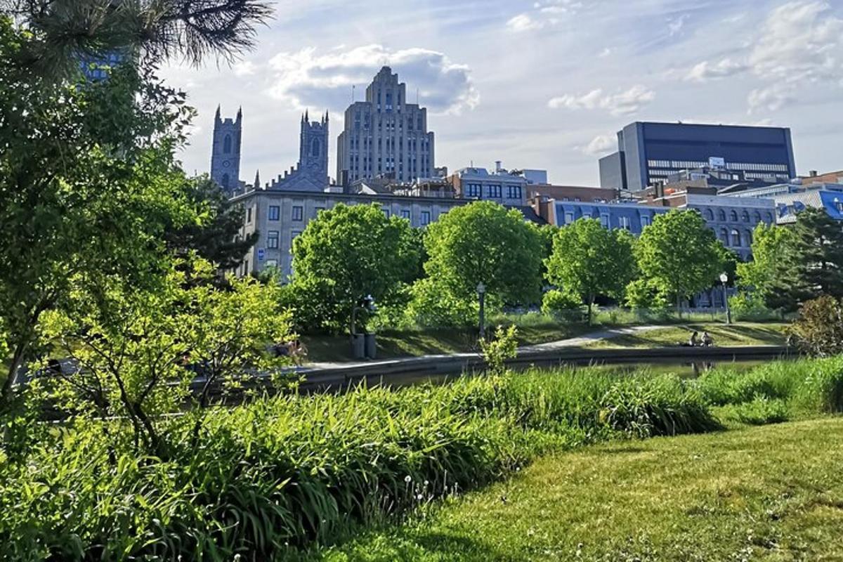 una vista di una città da un parco con edifici