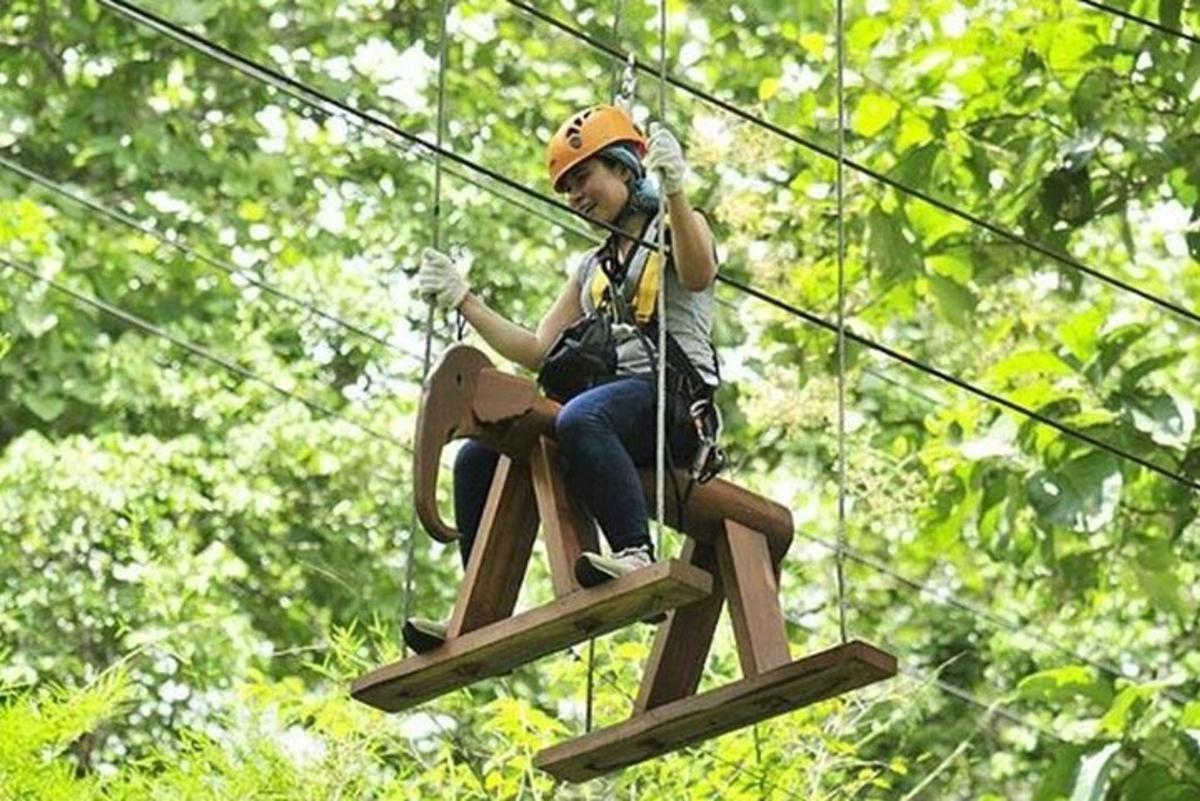 eine Person fährt auf einer Seilrutsche im Dschungel