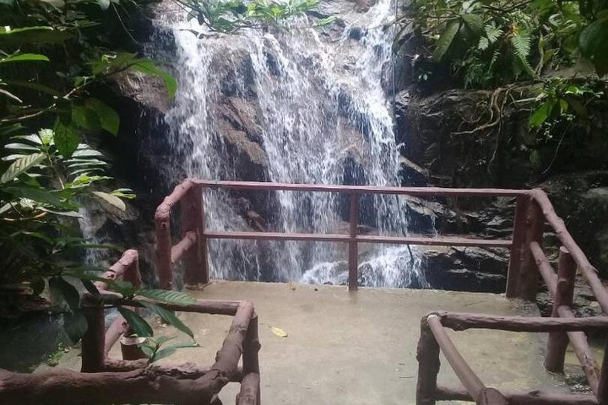 uma cachoeira em uma floresta com uma ponte na frente