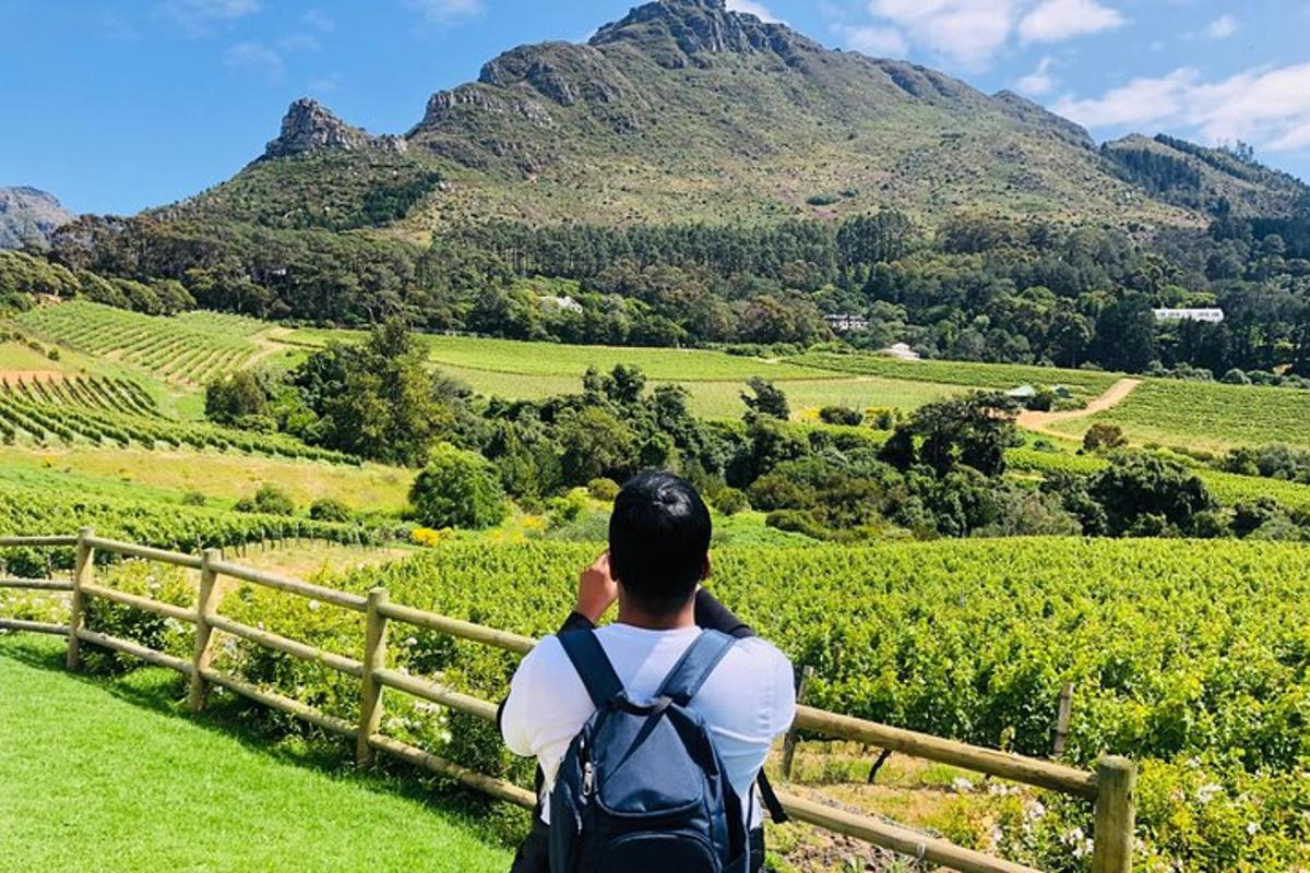 a man with a backpack taking a picture of a mountain