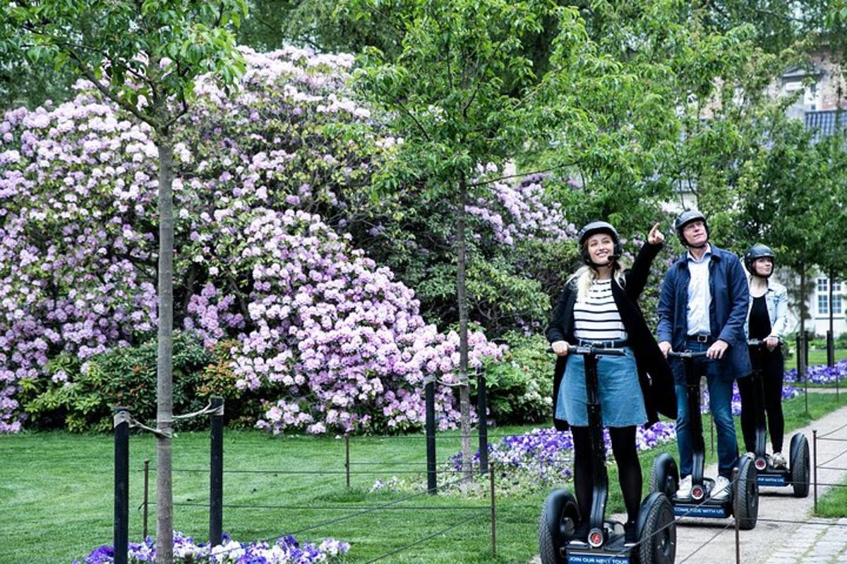 een groep mensen die op segways in een park rijden
