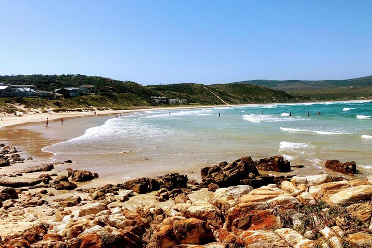una platja amb roques i gent a l'aigua