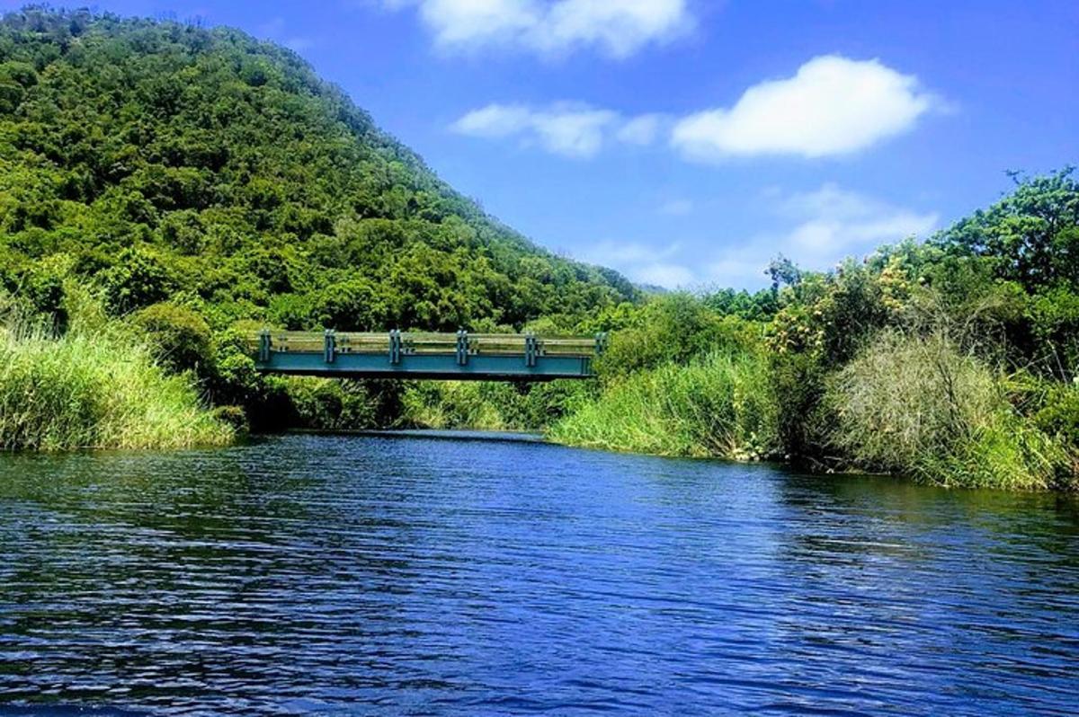 un pont sobre un riu amb dues persones a sobre