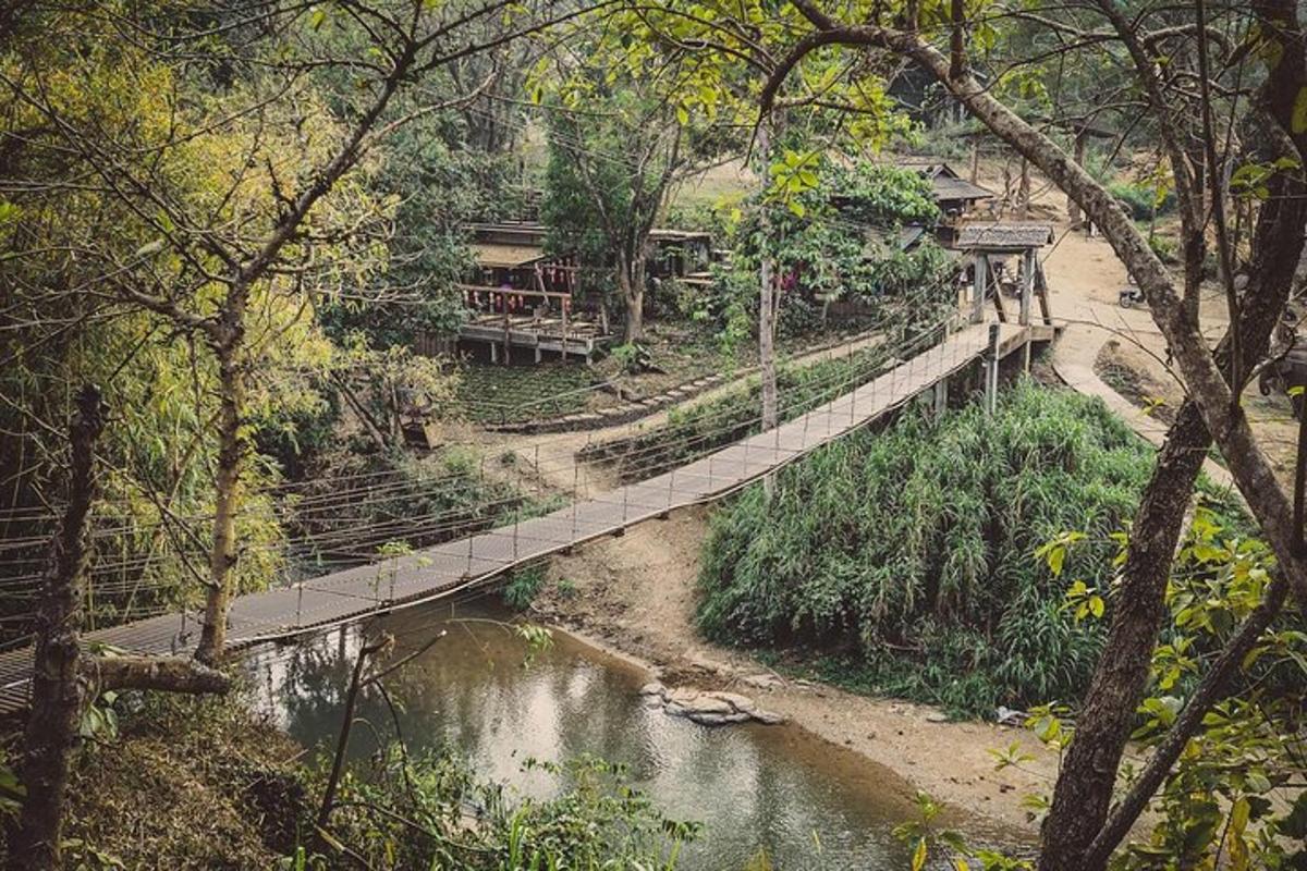 uma ponte suspensa sobre um rio em uma floresta
