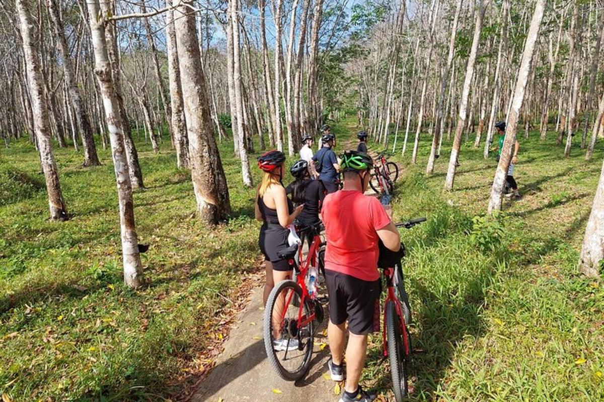 sekumpulan orang menunggang basikal di laluan di dalam hutan