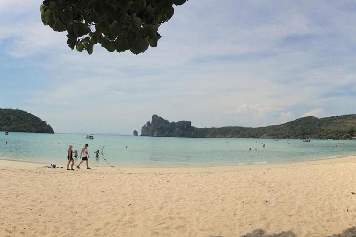 a couple of people walking on a beach