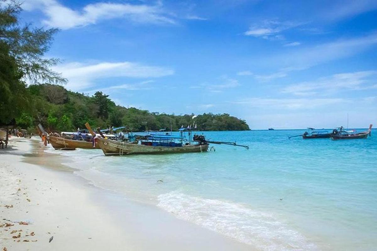 กลุ่มเรือจอดอยู่บนชายหาด