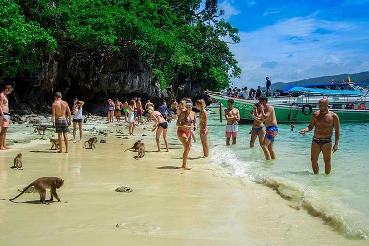 กลุ่มคนกำลังเล่นอยู่บนชายหาดกับสุนัข