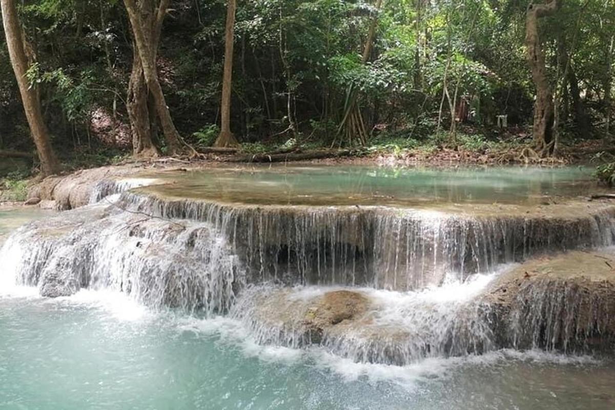 siri air terjun dalam hutan dengan pokok