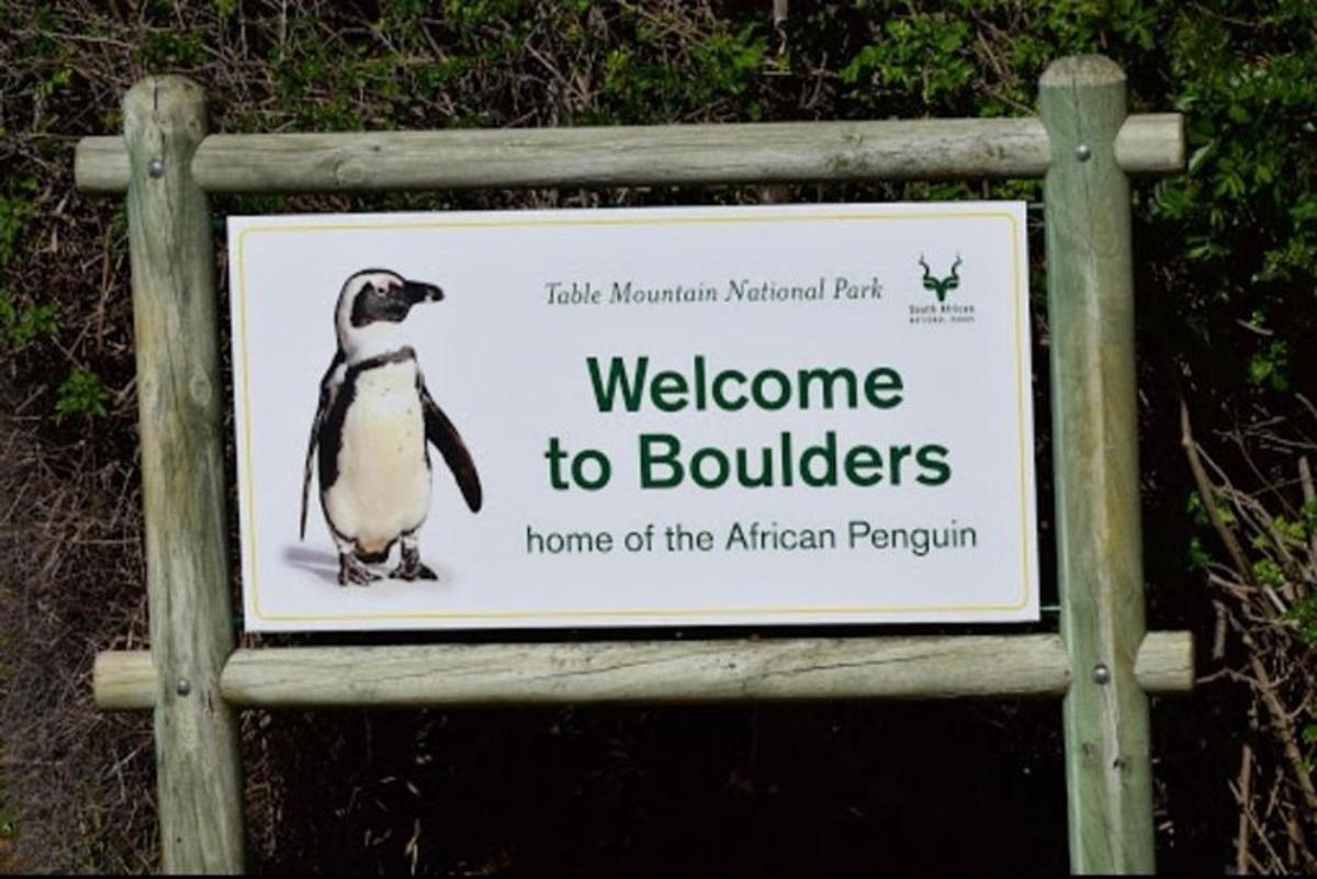 silt tere tulemast rändrahnudele, Aafrika pingviinide kodumaale