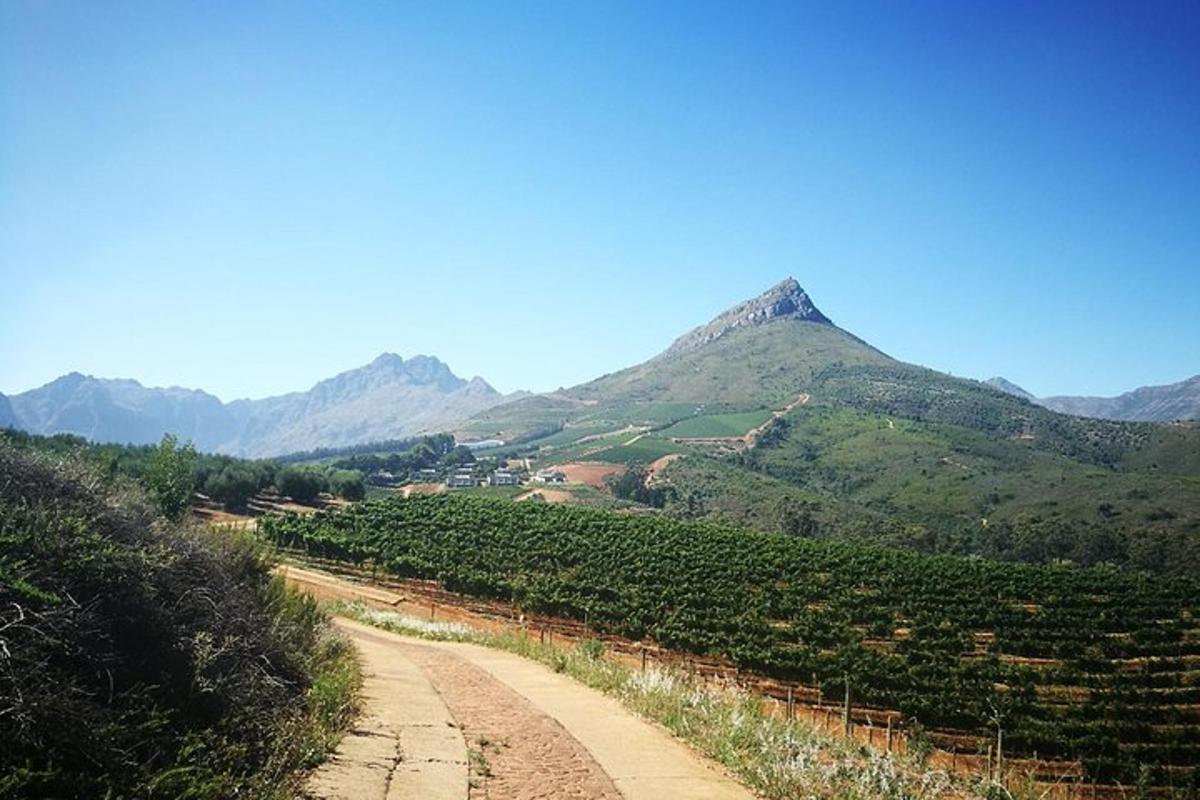 a dirt road through a vineyard with mountains in the background