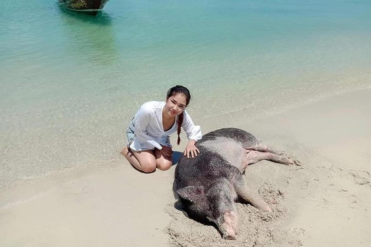 žena klečící na pláži s mládětem slona