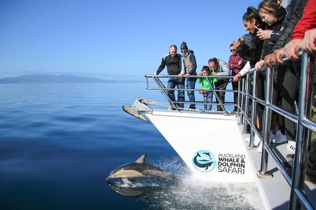 a group of people on a boat looking at a dolphin