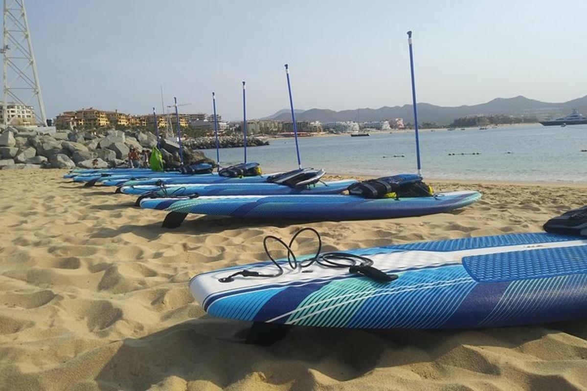 une rangée de planches de surf alignées sur la plage