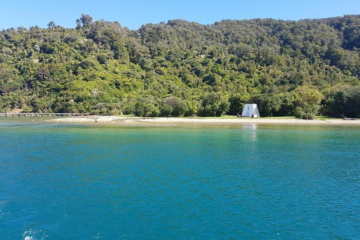 a large body of water with a beach and trees