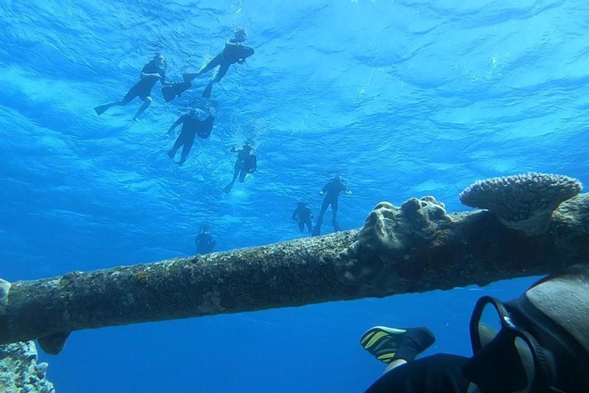 skupina lidí plavajících v oceánu