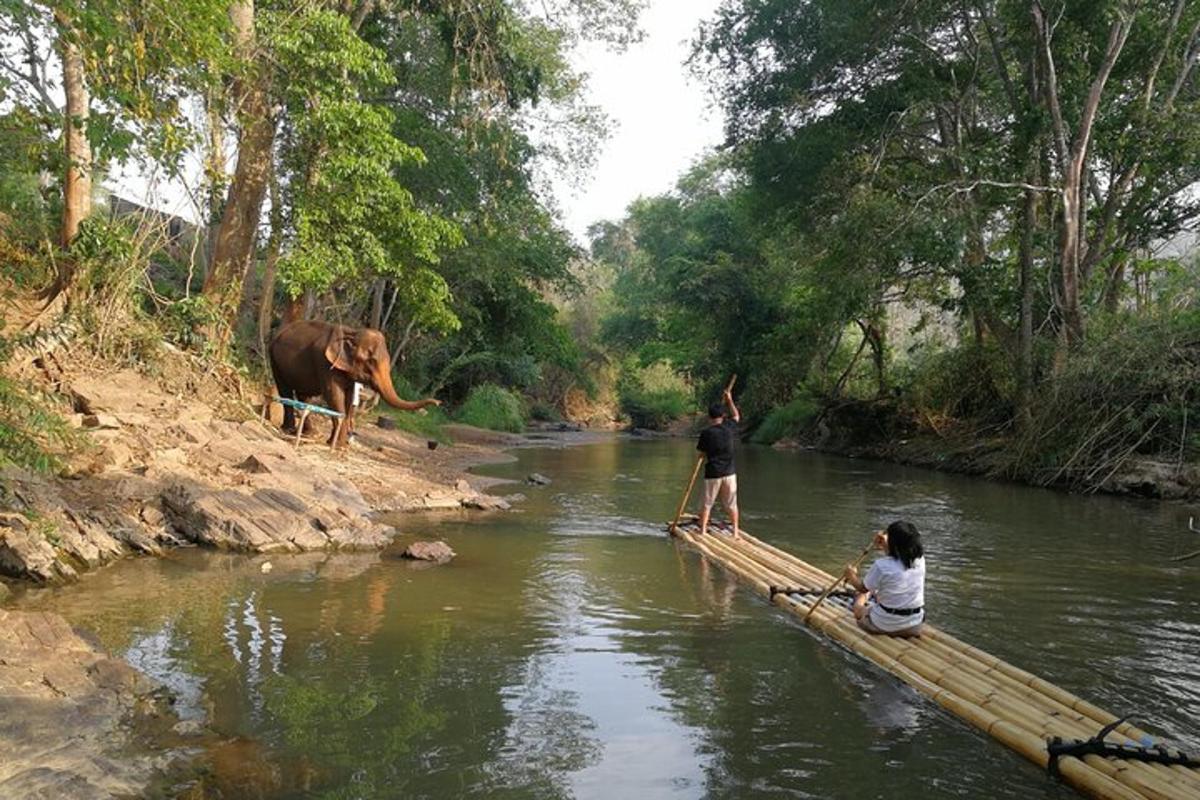 a couple of people on a bamboo raft in a river