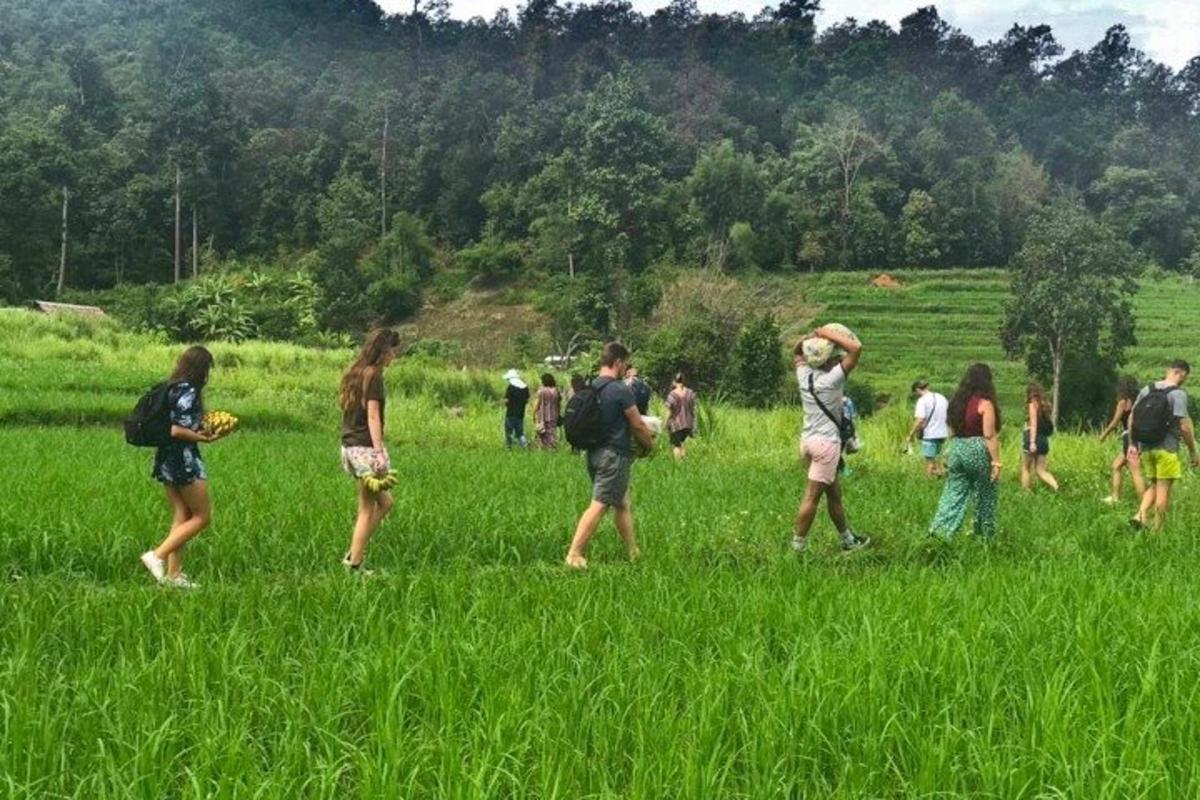 a group of people walking in a field of grass