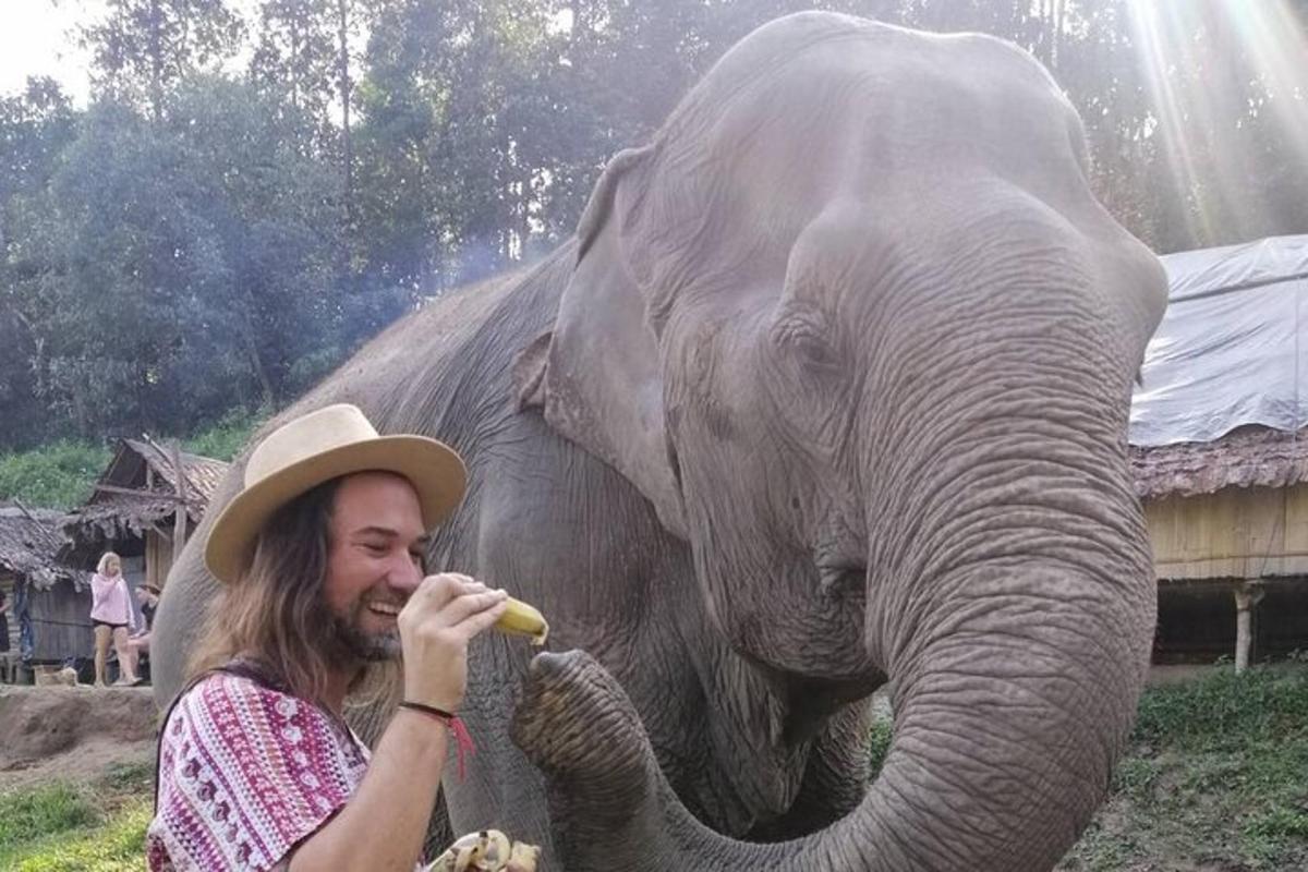 a man feeding an elephant a banana with its trunk