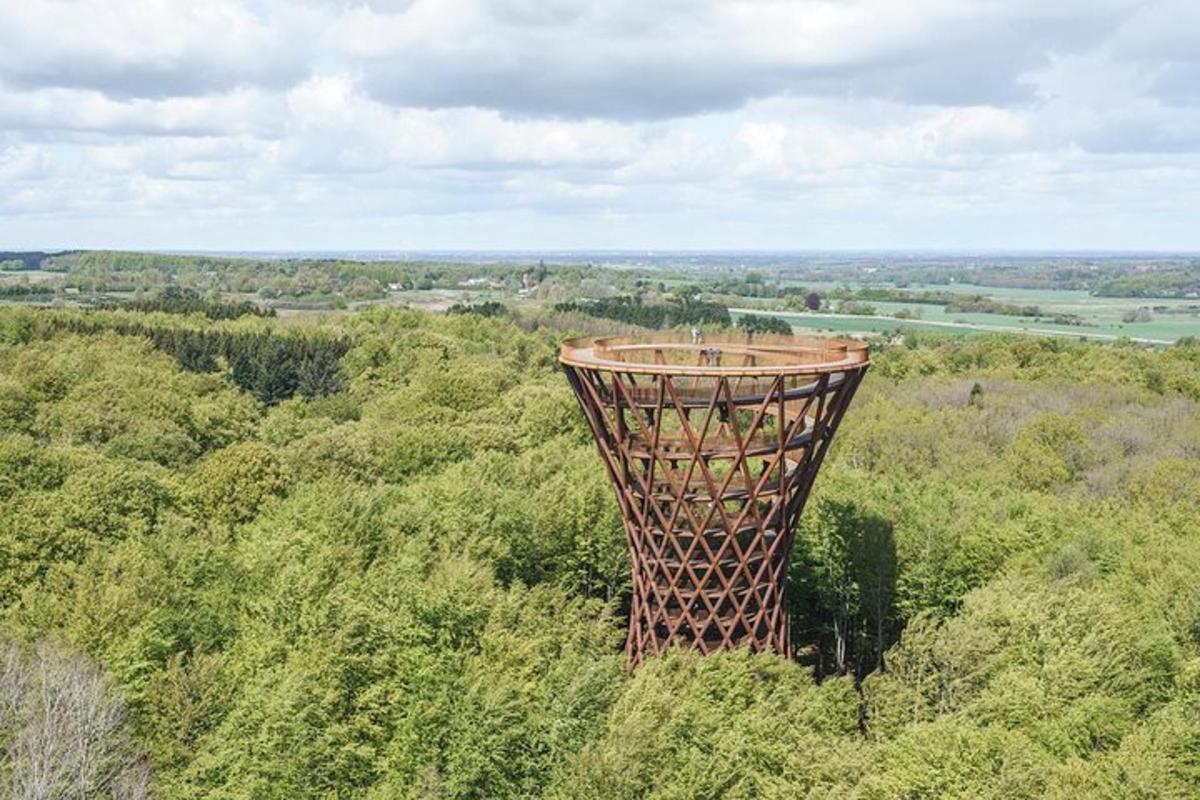 uma torre no meio de um campo de árvores