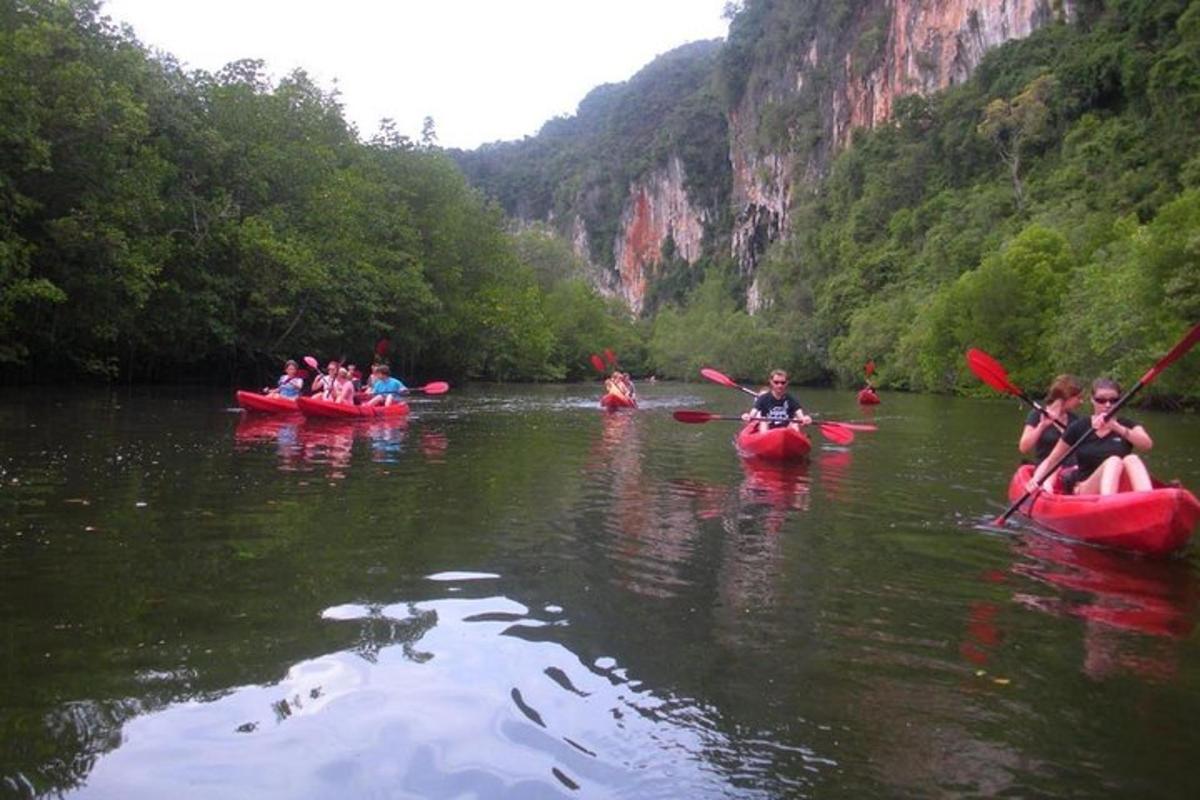một nhóm người chèo thuyền kayak dọc theo một con sông bằng thuyền kayak