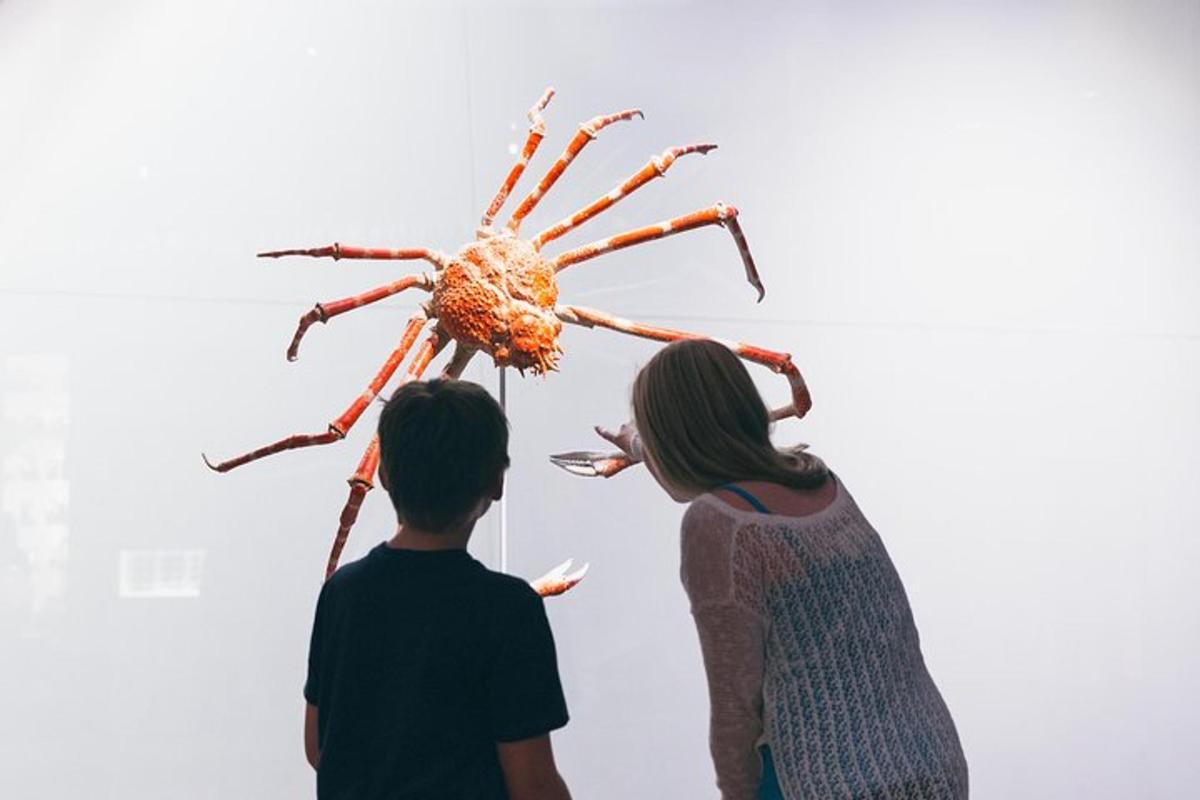 two people looking at a spider on the wall