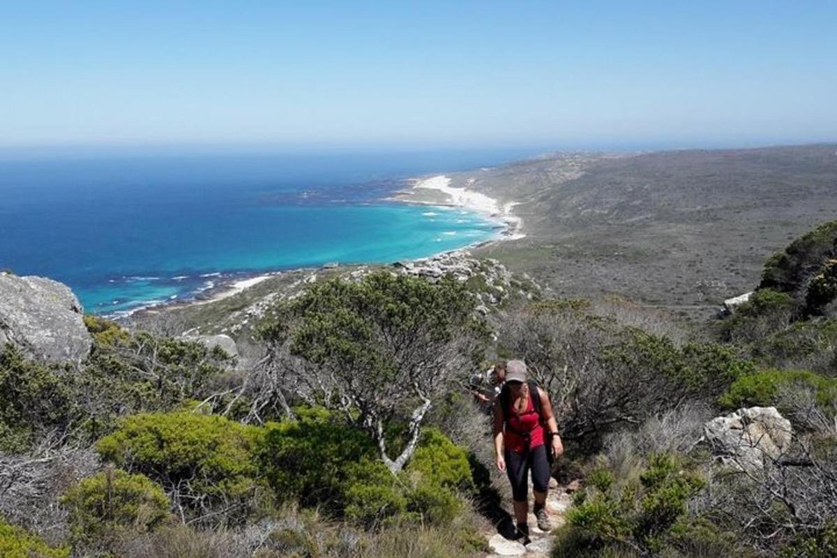 Una mujer caminando por una colina con vistas al océano.