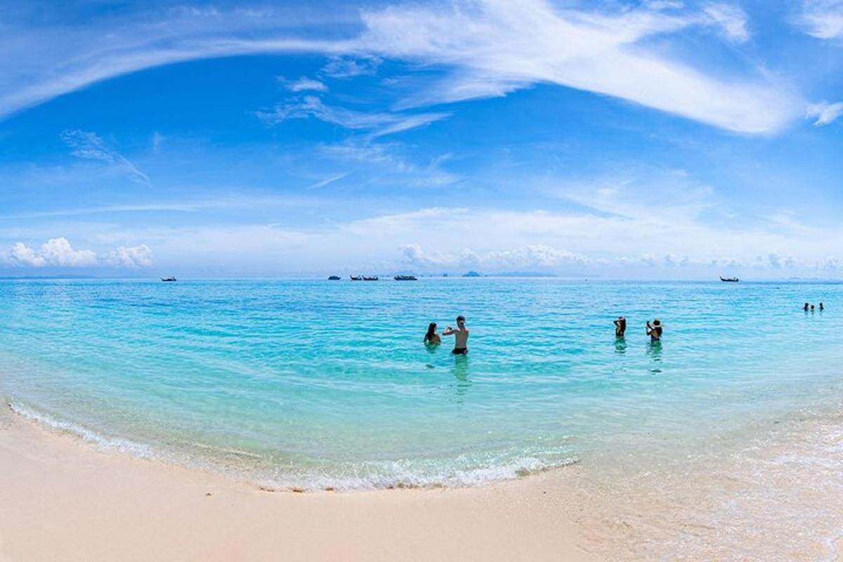 un gruppo di persone in piedi nell'acqua su una spiaggia