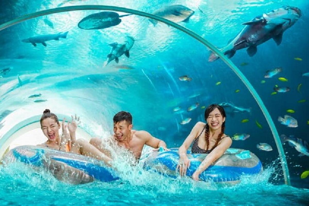 a group of people swimming in a pool in an aquarium