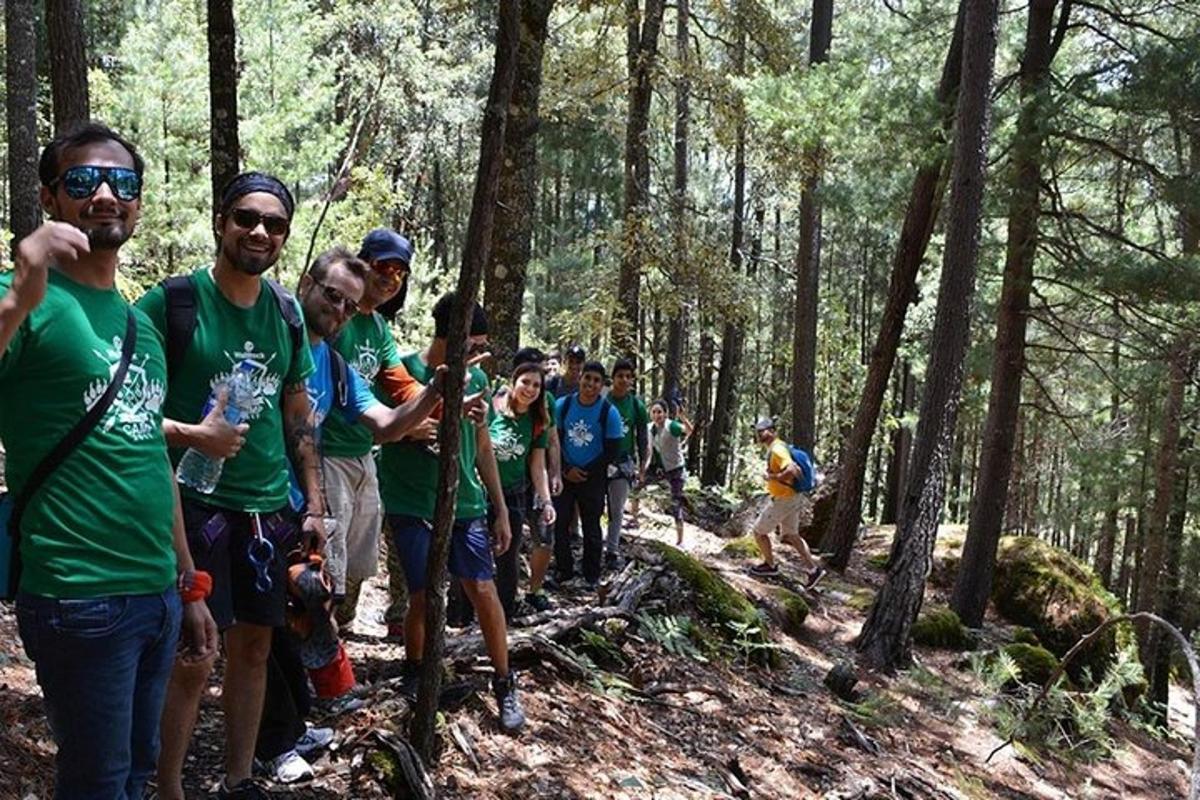 a group of people standing on a trail in the woods