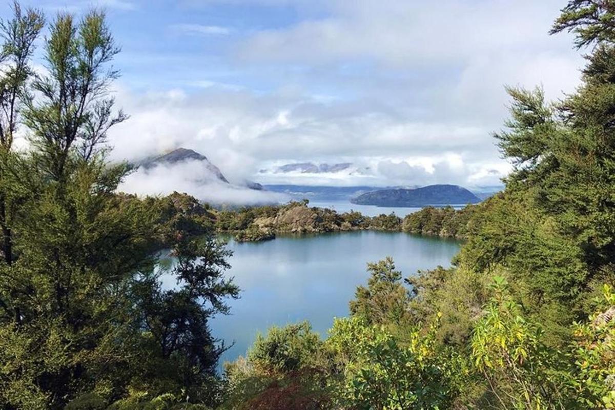 a view of a lake in the middle of a forest