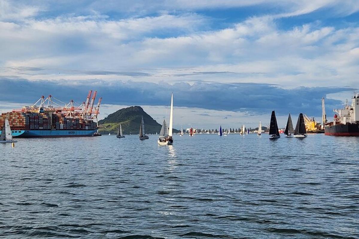 a group of boats in a large body of water