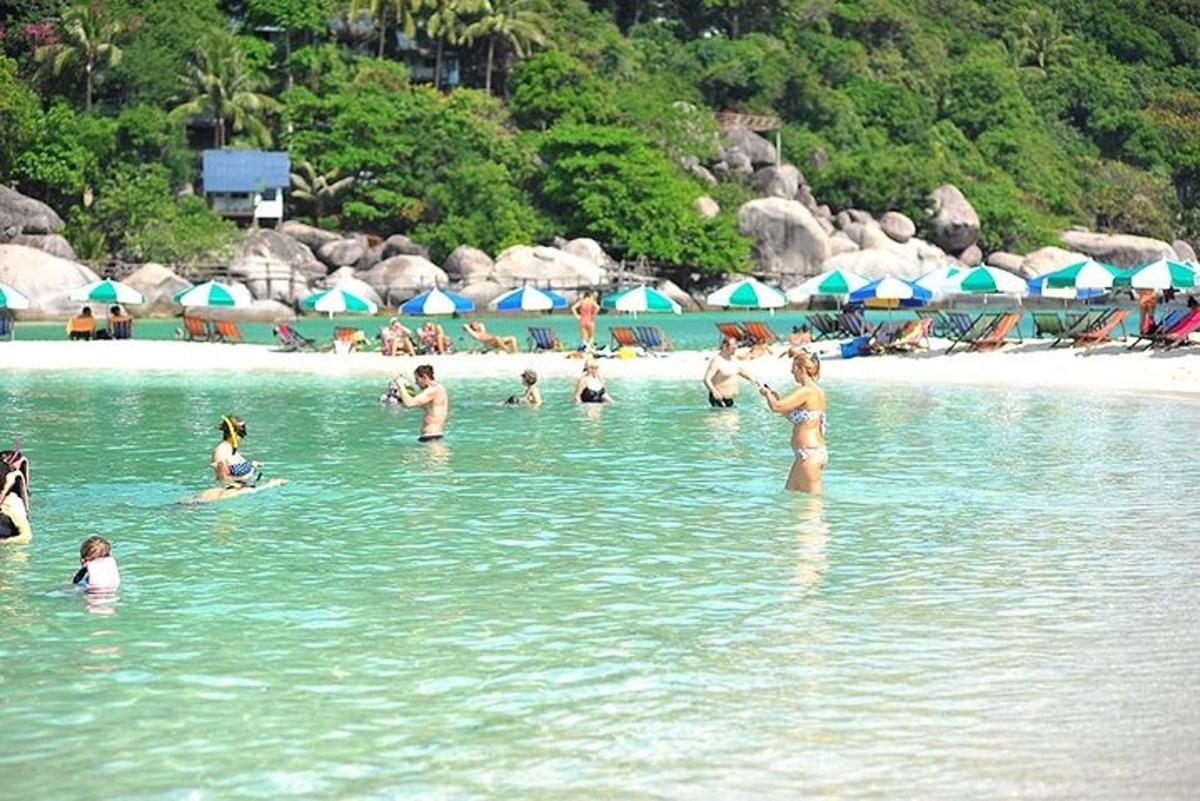 isang grupo ng mga tao sa tubig sa isang beach