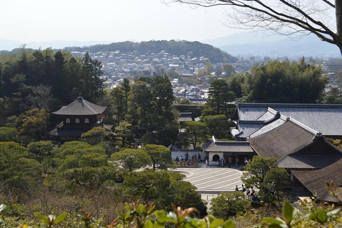 una vista di una pagoda e di edifici in una città