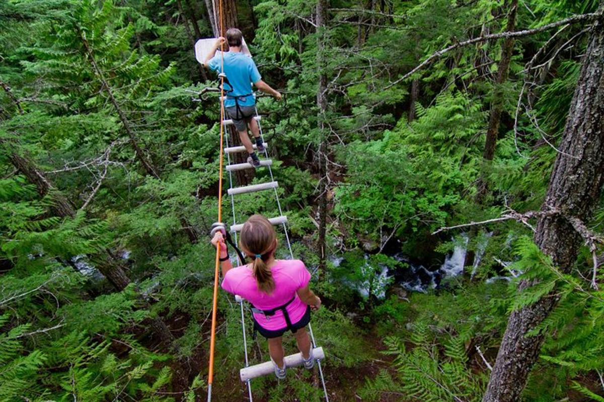 two people on a rope bridge in the forest