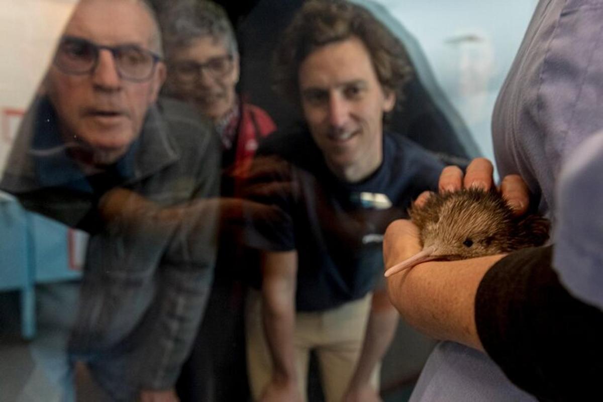 ein Mann, der einen Igel in der Hand hält