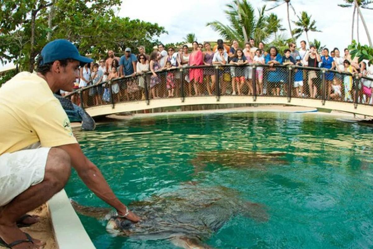 a man holding a turtle in the water with a crowd