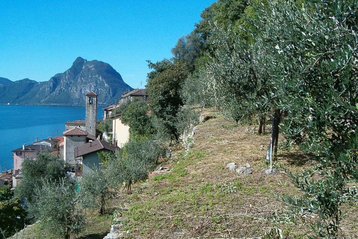a small town on a hill next to the water