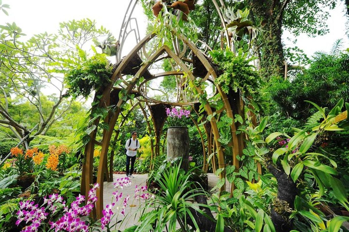 Attraction picture 2