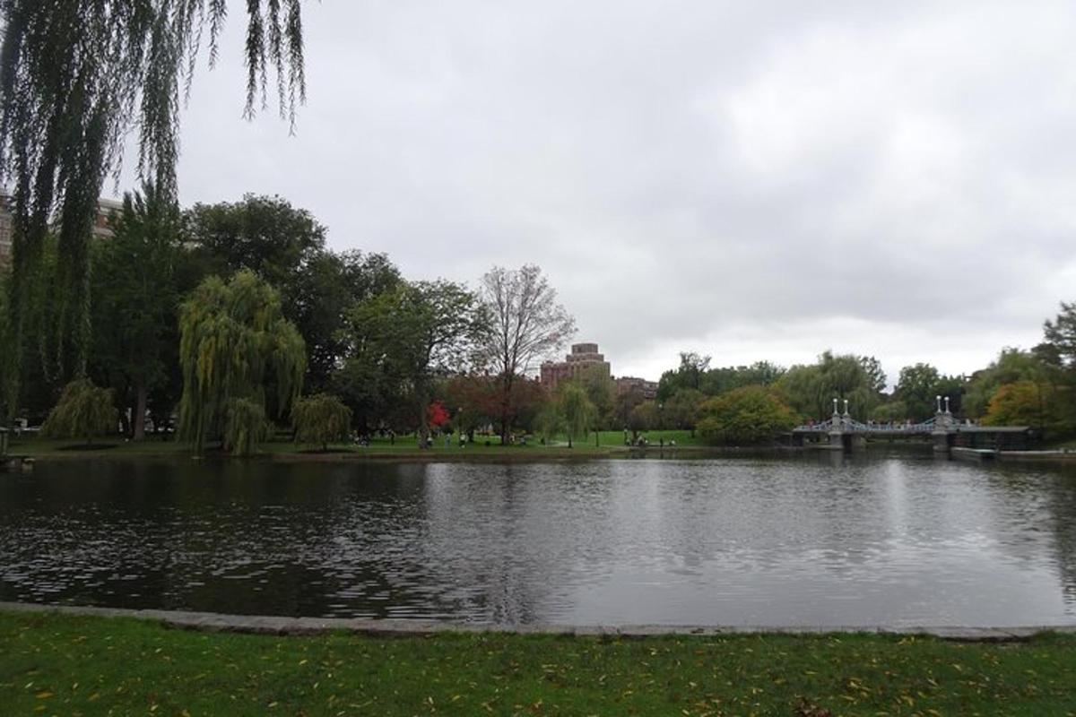 uno stagno in un parco con alberi e un ponte