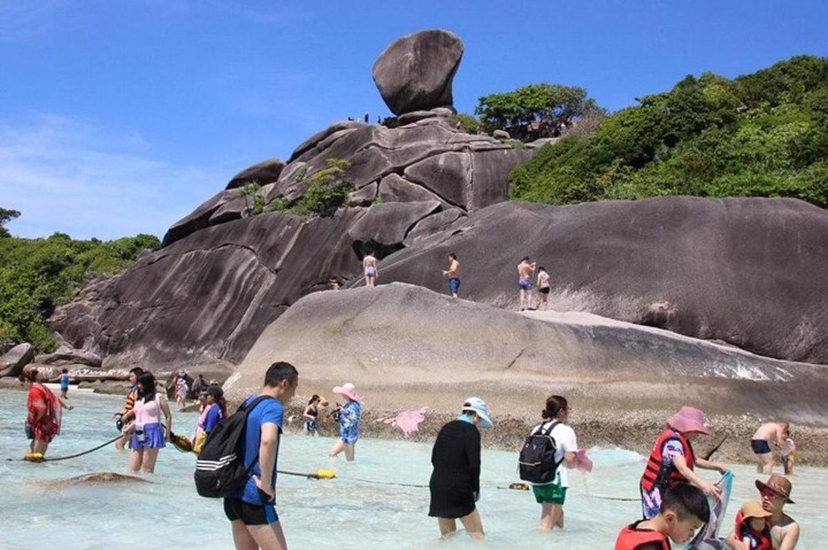 skupina ljudi, ki stojijo v vodi na plaži