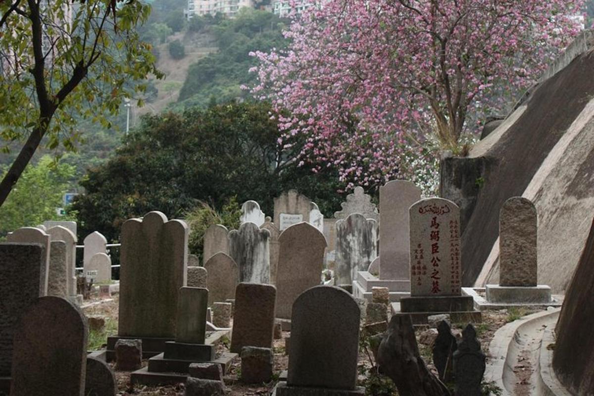 un cimitero con lapidi e una cascata sullo sfondo