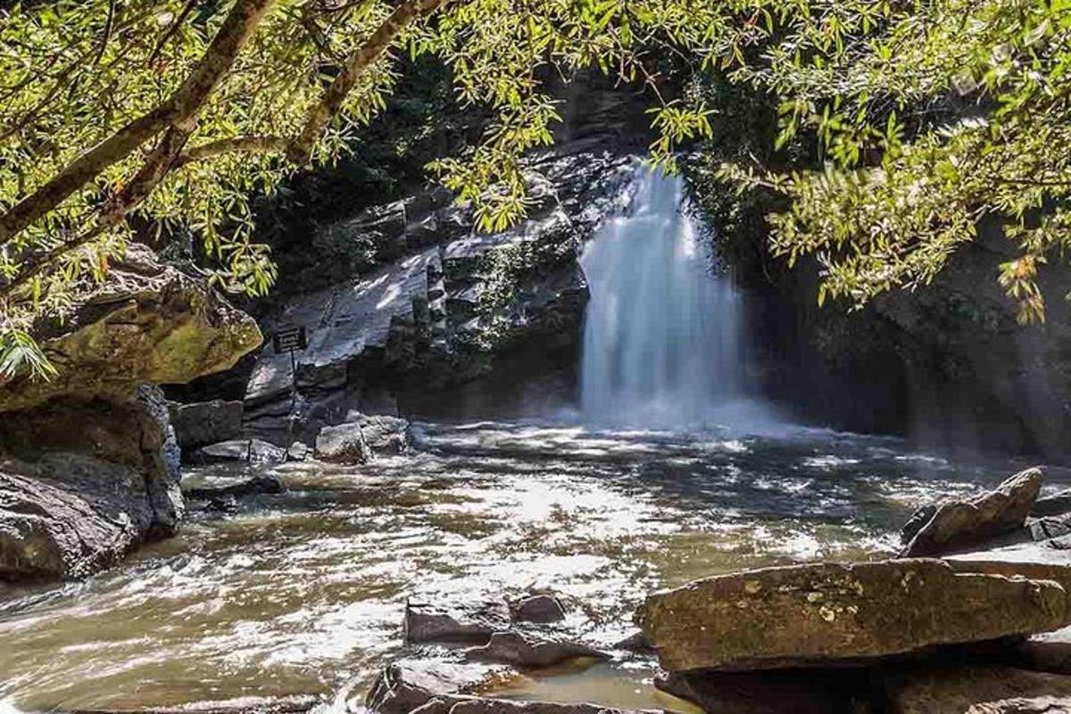 a waterfall in the middle of a river with trees