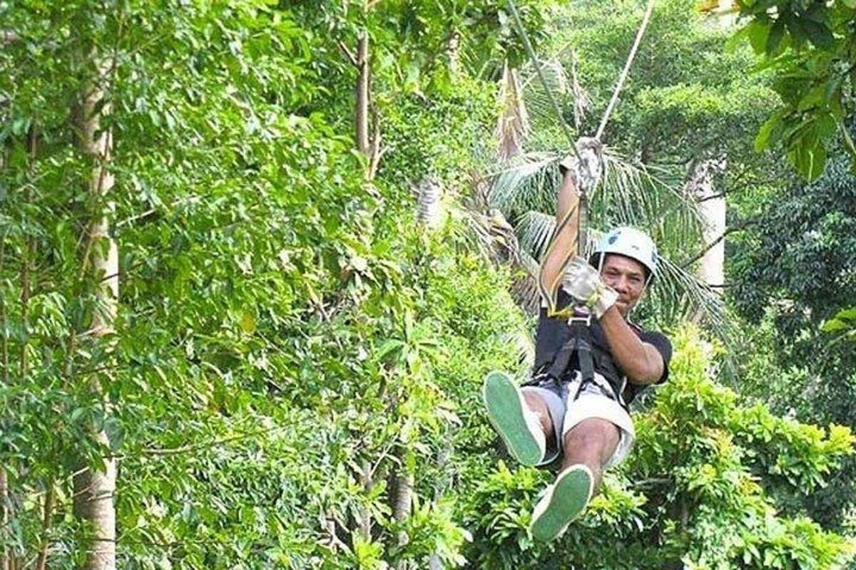 Un hombre se desliza en tirolina entre los árboles.