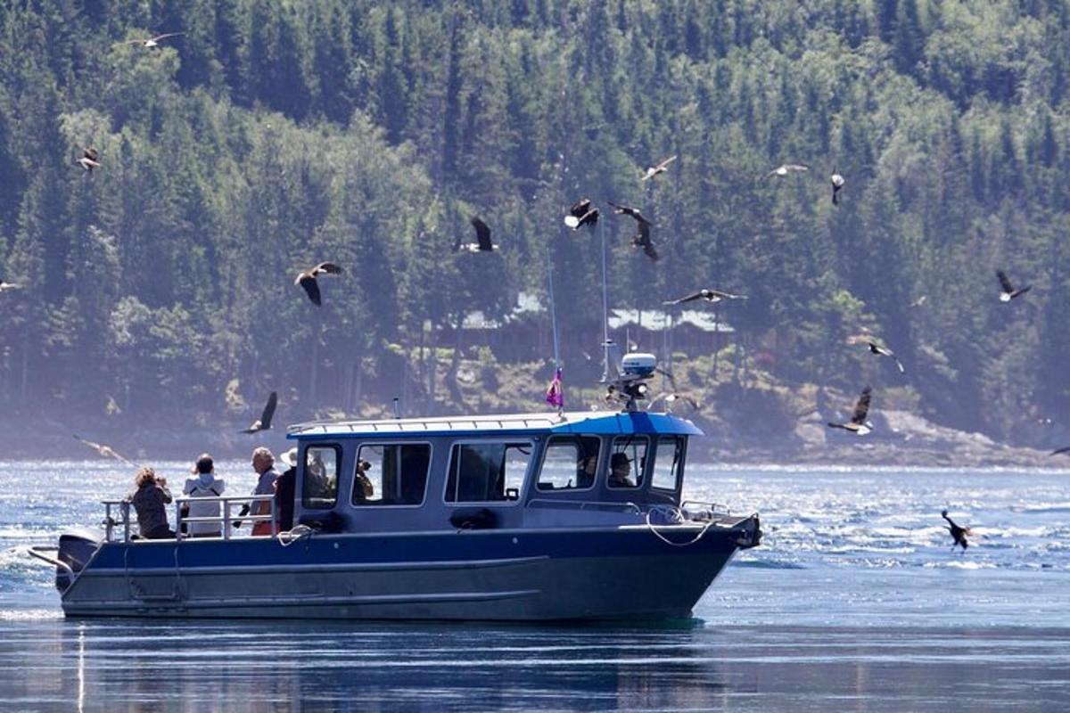 a group of people on a blue boat in the water