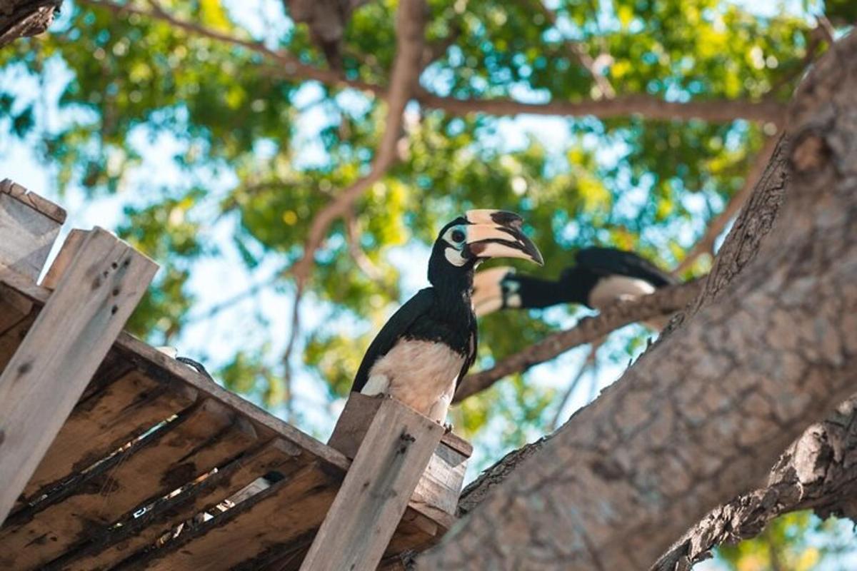 un uccello seduto in cima a una casetta per uccelli