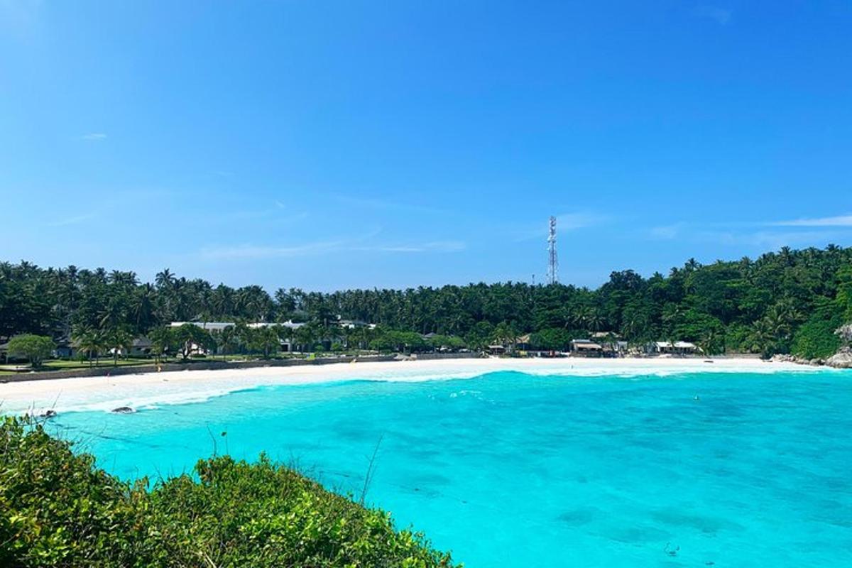 una spiaggia con acqua turchese, sabbia bianca e alberi